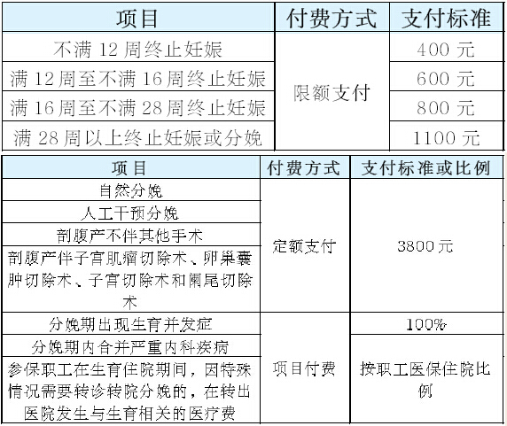 2024香港历史开奖结果查询表最新,综合性计划定义评估_tool36.920