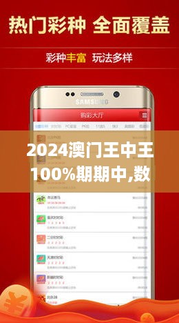 2024年新澳门王中王免费,专业调查解析说明_粉丝款80.715