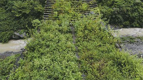 南川区最新发展动态概览